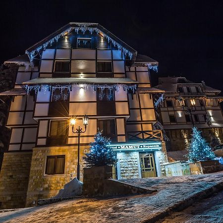 Apart Hotel Mamut Kopaonik Kültér fotó